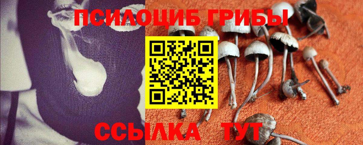 Галлюциногенные грибы мухоморы  Вход с VPN  Ангарск  наркотики  Псилоцибиновые грибы Psilocybine cubensis 